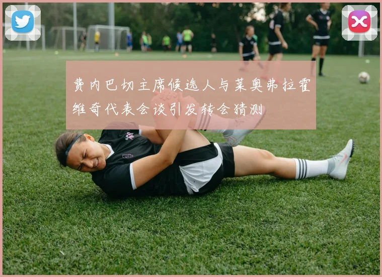 费内巴切主席候选人与莱奥弗拉霍维奇代表会谈引发转会猜测