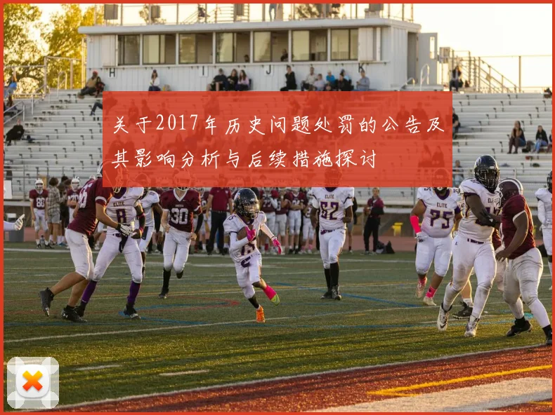 关于2017年历史问题处罚的公告及其影响分析与后续措施探讨