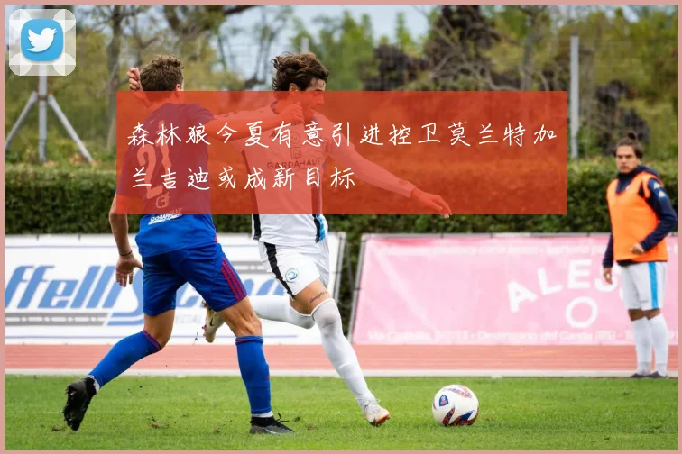 森林狼今夏有意引进控卫莫兰特加兰吉迪或成新目标