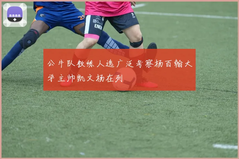 公牛队教练人选广泛考察杨百翰大学主帅凯文杨在列